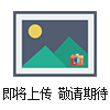 ZJQ潛水渣漿泵